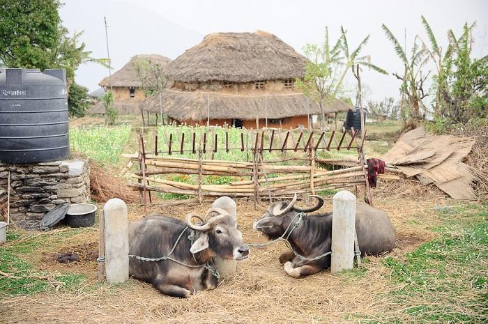 Hananoie Kaski Ngoại thất bức ảnh
